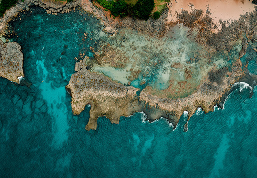 Reductions in force and other cost-saving measures: A guide for global employers