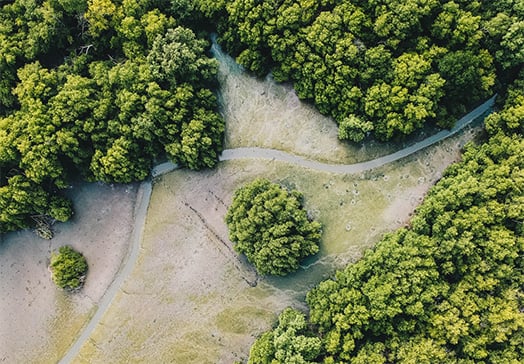 New rules from SAMA for processing salary payment