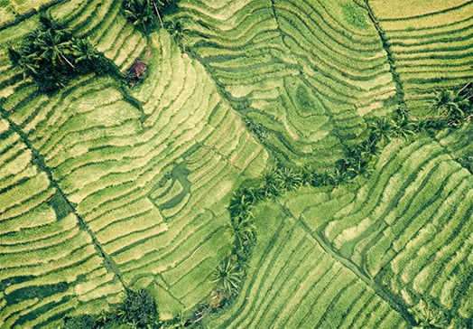 Upcoming increases in remuneration thresholds for employment permits