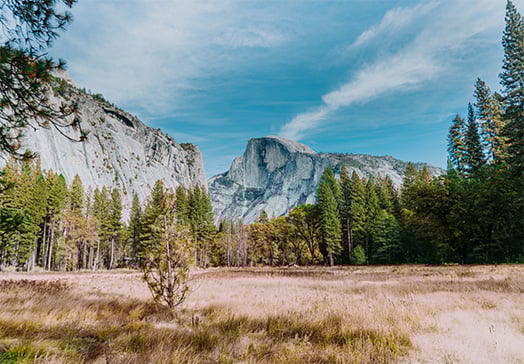 Colorado: Groundbreaking AI law faces pushback