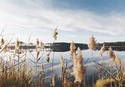 Gender pay transparency: The new edition of our global guide brings you the latest developments